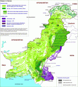 Mapa-Pakistan-Simple_Map_Of_Pakistan.jpg