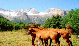 Bản đồ-Bắc Ossetia-Alania-north-ossetia-republic-horses.jpg