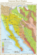 Karte (Kartografie)-Sonora (Bundesstaat)-sonoran_map-lg.jpg