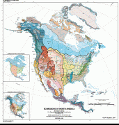 Bản đồ-Bắc Mỹ-ecoregions-north-america.gif