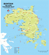 Kaart (cartografie)-Indonesië-bintan-island-map.png