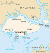 Kaart (kartograafia)-Singapur-sn-map.gif
