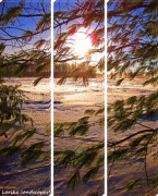 Географическая карта-Острова Питкэрн-twe-wallacetown-through-the-pine-sunset-photos.jpg