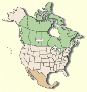 Bản đồ-Bắc Mỹ-66480-north-america-map-2d.jpg