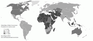 Kaart (cartografie)-Malé-Global_Map_of_Male_Circumcision_Prevalence_at_Country_Level.png