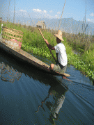 Carte géographique-Birmanie-Water_hyacinth_Inle_Lake.JPG